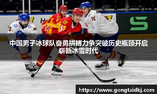 乐盈VI