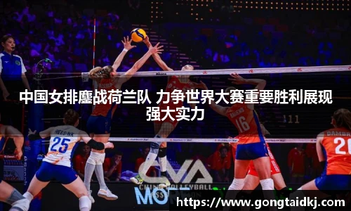 乐盈VI