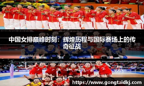 乐盈VI官网登录入口
