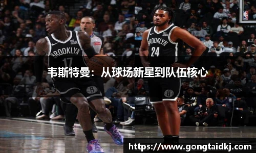 乐盈VI官网