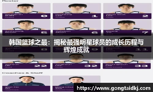 乐盈VI首页