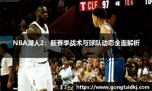 乐盈VI官网