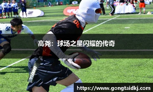 乐盈VI官网
