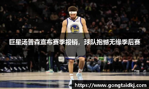 乐盈VI官网