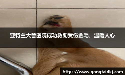 乐盈VI官网登录入口