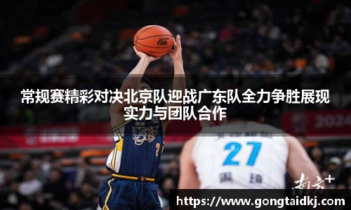 乐盈VI首页
