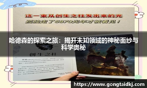 乐盈VI官网