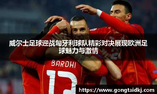 乐盈VI官网登录入口