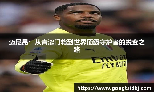 乐盈VI