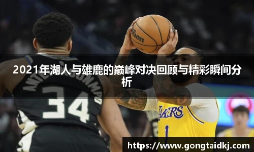 乐盈VI官网登录入口