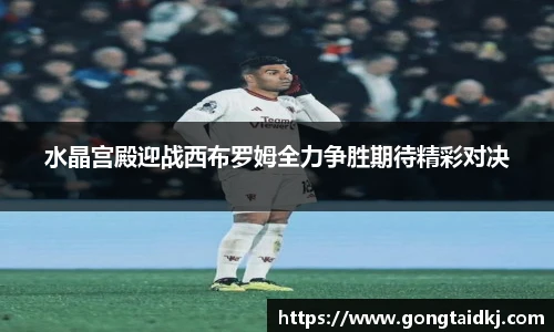 乐盈VI官网登录入口