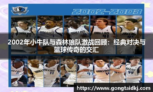 乐盈VI