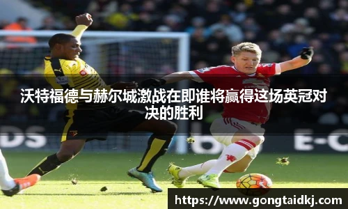 乐盈VI