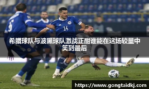 乐盈VI官网