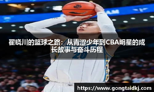 乐盈VI