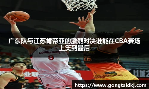 乐盈VI官网